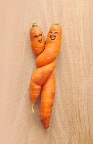 Two carrots that have grown and twisted together into one shape. The carrots have facial expressions and appear to be embracing each other.