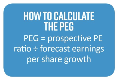 HOW TO CALCULATE THE PEG