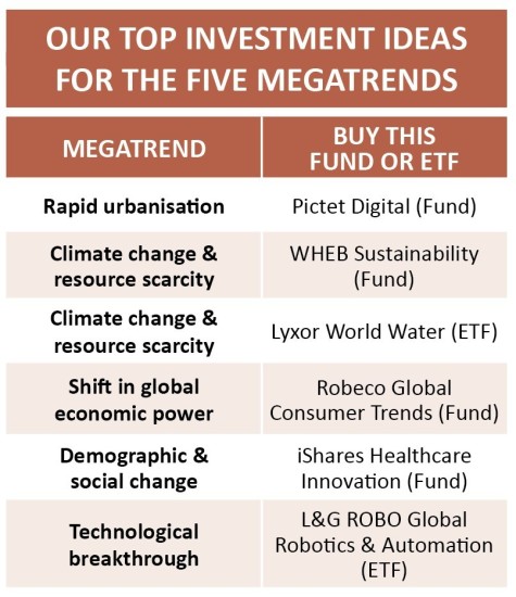 Megatrend investing money forex margin vs free margin